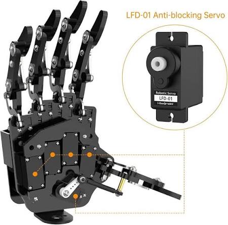 Humanoid hand display with servos